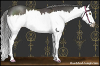 Horse Color:Platinum Liver Chestnut Mushroom Splash