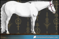 Horse Color:Chocolate Silver Smoky Creme Chinchilla Roan Rabicano