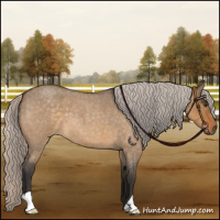 Horse Color:Silver Buckskin Roan Dun