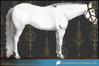 Horse Color:Black Sabino Leopard Rabicano 