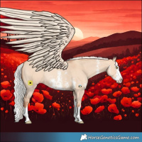 Horse Color:Silver Classic Champagne Dun Sabino Splash Rabicano