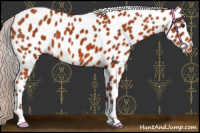 Horse Color:Chocolate Silver Bay Leopard 