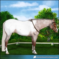 Horse Color:Chocolate Silver Brown Roan Near Fewspot