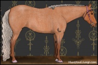 Horse Color:Chocolate Silver Bay Roan