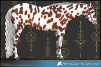 Horse Color:Chocolate Silver Brown Near Leopard 