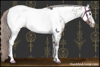 Horse Color:White Spotted Chocolate Silver Black Near Fewspot Rabicano 