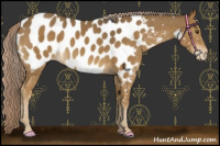 Horse Color:Chocolate Palomino Mushroom Blanket 