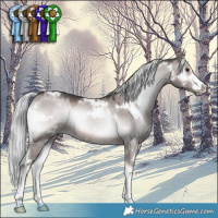 Horse Color:Platinum White Spotted Liver Red Dun Onyx Mushroom 