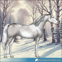 Horse Color:Platinum White Spotted Liver Red Dun Mushroom 