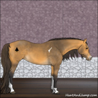 Horse Color:Buckskin Sabino Tobiano 
