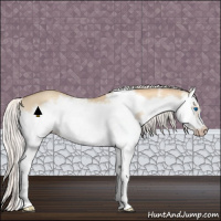 Horse Color:Silver Classic Champagne Dun Splash Frame 