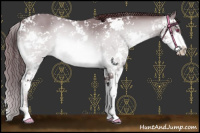 Horse Color:Chocolate Bay Chinchilla Sabino