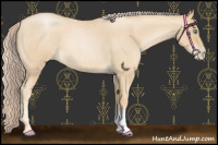 Horse Color:Palomino Roan Pearl 