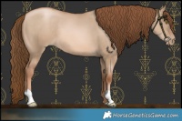 Horse Color:Liver Red Dun Pearl