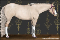 Horse Color:Silver Bay Roan Pearl Dun 