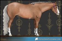 Horse Color:Silver Brown Pearl Rabicano 