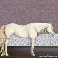 Horse Color:Buckskin Pearl Dun 