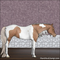 Horse Color:Silver Brown Pearl Tobiano 