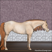 Horse Color:Classic Champagne Pearl Rabicano 