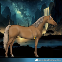 Horse Color:Chocolate Palomino Dun Rabicano 