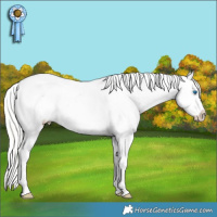 Horse Color:Gold Champagne Pearl Dun Mushroom Sabino Splash Tobiano Frame Appaloosa Rabicano and White Spotted Gold Champagne Pearl Dun Mushroom Splash Tobiano Frame Appaloosa Rabicano