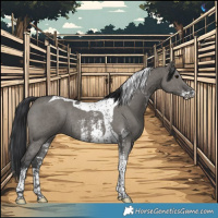 Horse Color:Grullo Sabino Tobiano Rabicano 