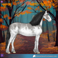 Horse Color:White Spotted Grullo Sabino Rabicano