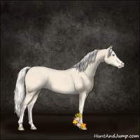Horse Color:Cremello 