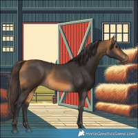 Horse Color:Buckskin 