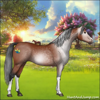 Horse Color:Gray Bay 