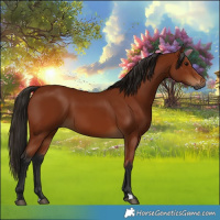Horse Color:Gray Bay