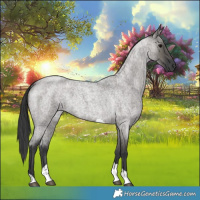 Horse Color:Grullo Roan Tobiano 