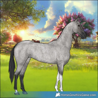Horse Color:Grullo Roan Tobiano 