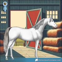 Horse Color:Grullo Appaloosa 
