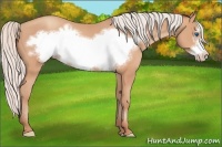 Horse Color:Silver Amber Champagne Frame 