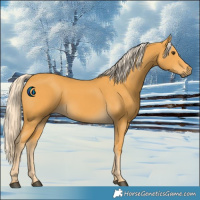 Horse Color:Palomino 