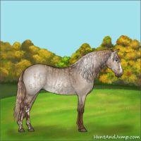 Horse Color:Liver Red Dun  and Gray Liver Red Dun 