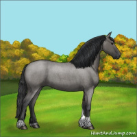 Horse Color:Grullo Roan Tobiano 