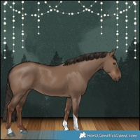 Horse Color:Liver Red Dun Tobiano 