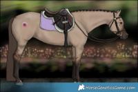 Horse Color:Liver Red Dun 