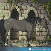 Horse Color:Grullo Sabino Rabicano 