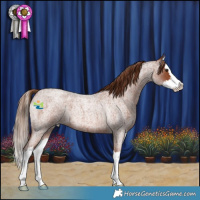 Horse Color:Red Roan Splash 