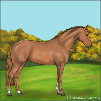 Horse Color:Chestnut Tobiano 