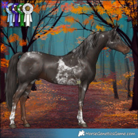 Horse Color:Liver Chestnut Tobiano 