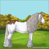 Horse Color:Silver Black Splash 