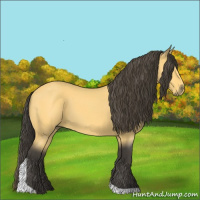 Horse Color:Buckskin Roan Tobiano 