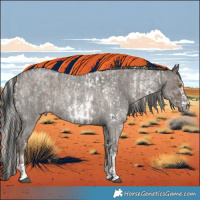 Horse Color:White Spotted Silver Blue Roan Rabicano and Grullo Sabino Rabicano