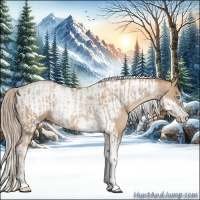 Horse Color:Chocolate Palomino Pearl Tobiano Frame Rabicano  and Chocolate Palomino Pearl Tobiano Frame 