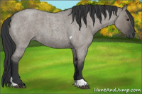 Horse Color:Grullo Roan Tobiano