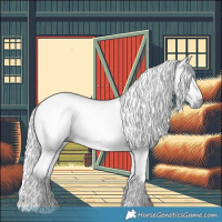 Horse Color:Gray Black 